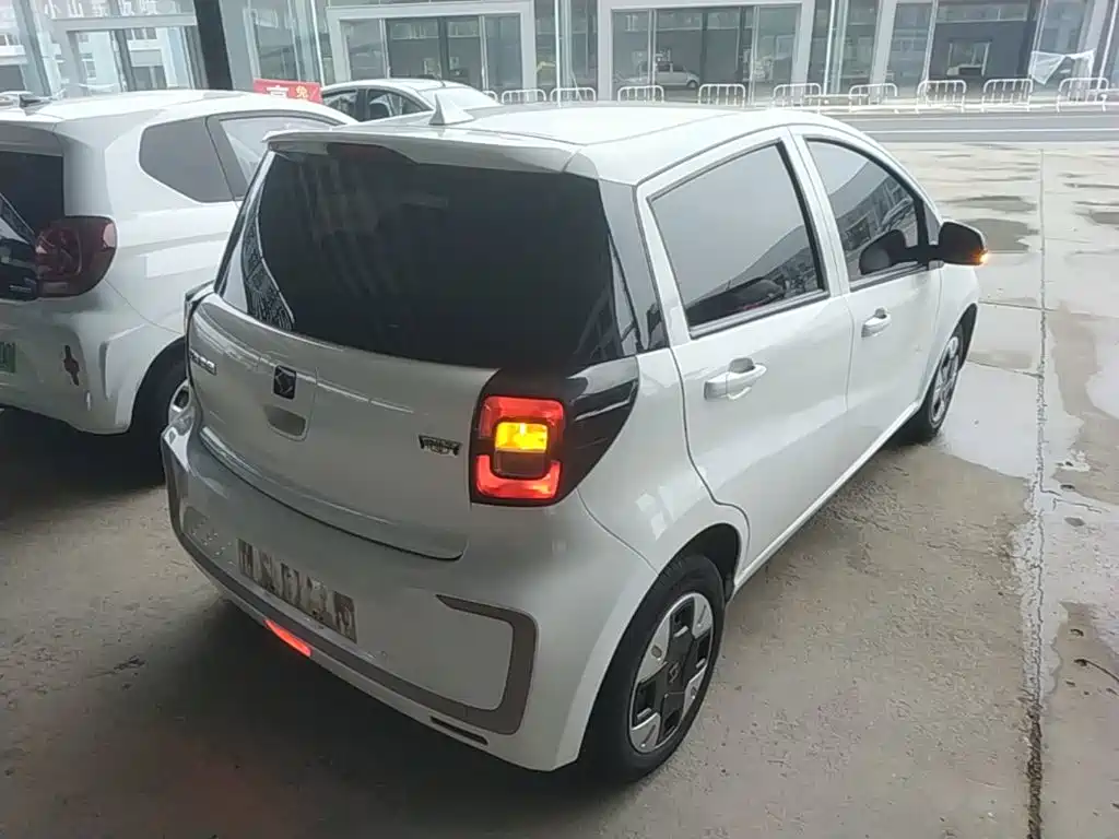 Sehol Flower Fairy 2023 2023 251km Four-leaf Clover 36kW