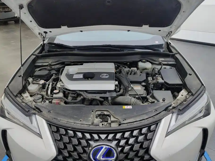 Lexus UX 2020 2020 260h Explore Cool Edition