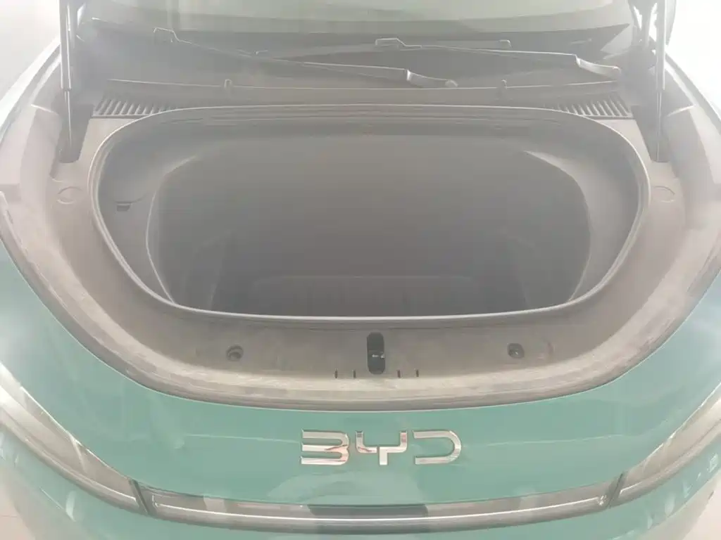 BYD Hai Shi 05 EV 2025 2025 520KM Smart Navigation Edition