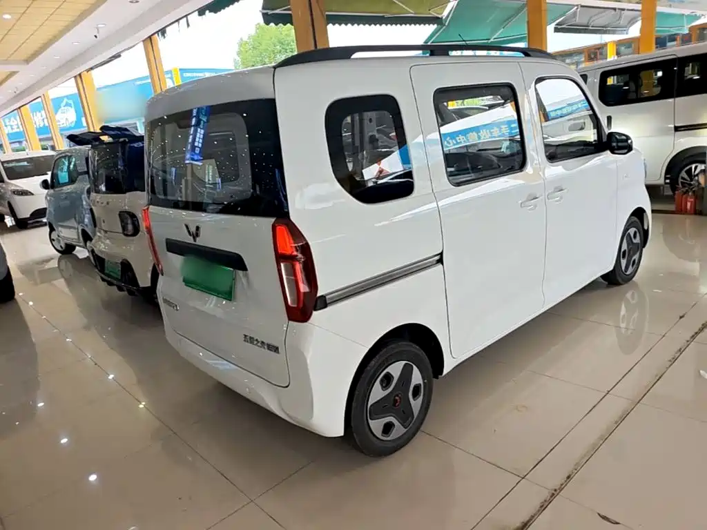 Wuling Motors Wuling Zhiguang NEV 2026 2025 Model 305km Base Version