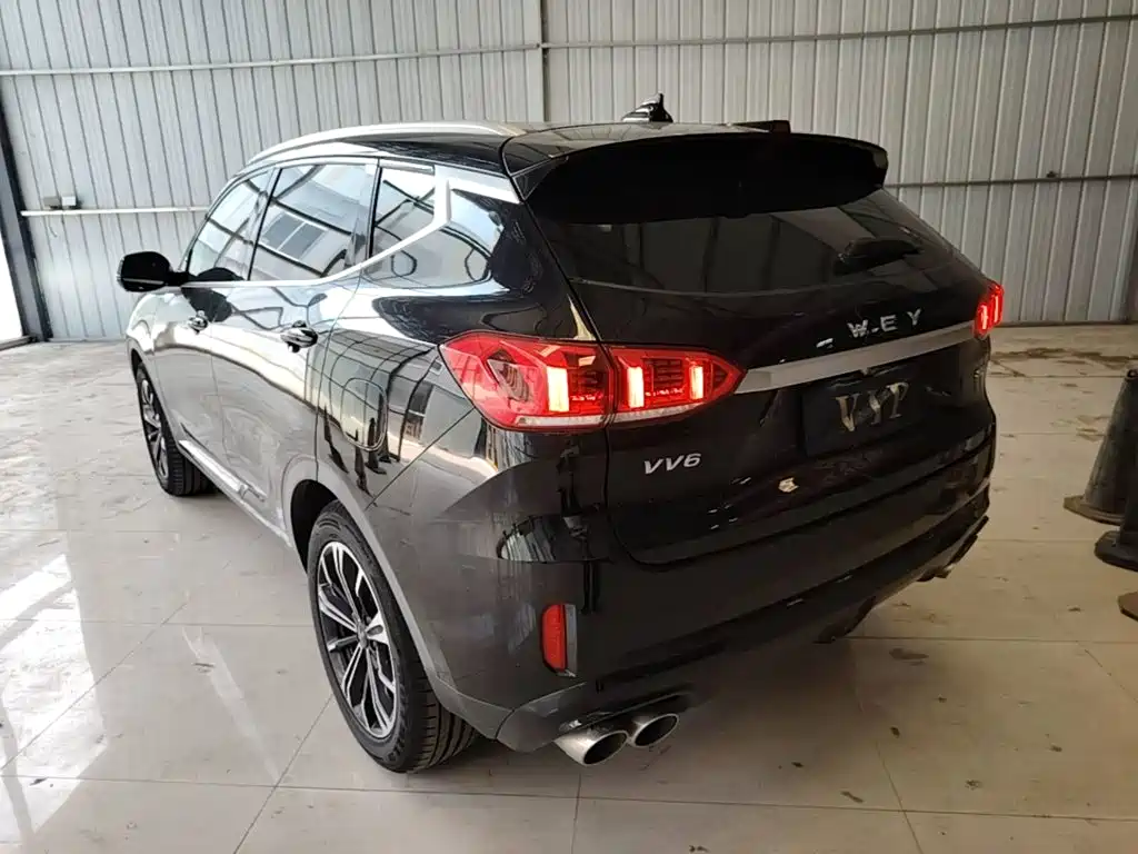 2021 WEY VV6
