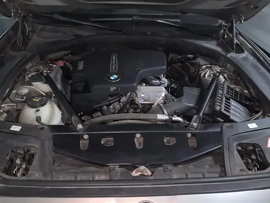 BMW 5 Series 2014 520Li Elegance фото 10