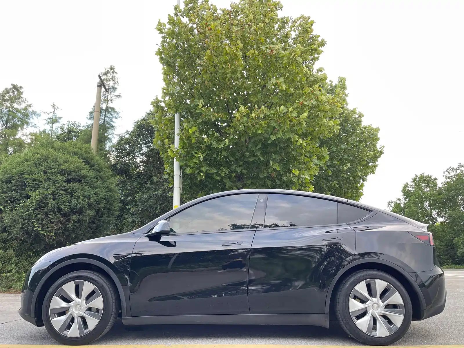 Фото 4 - Tesla Model Y