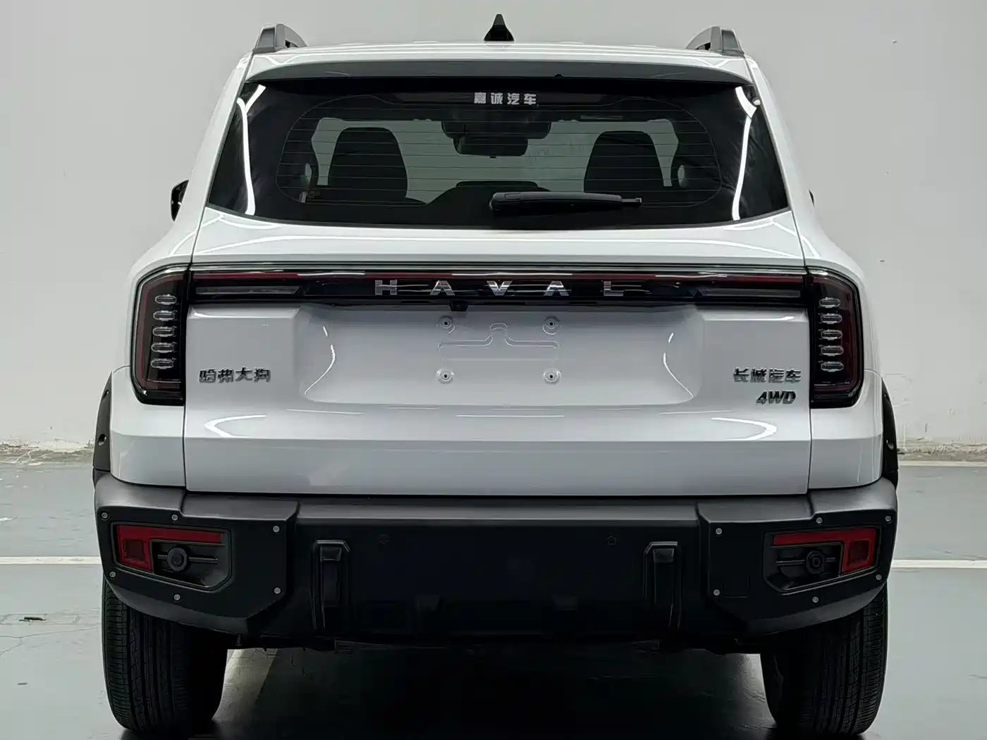 Haval Big Dog 2022 2.0T DCT 4WD Chinese Rural Dog Hunting Edition фото 4