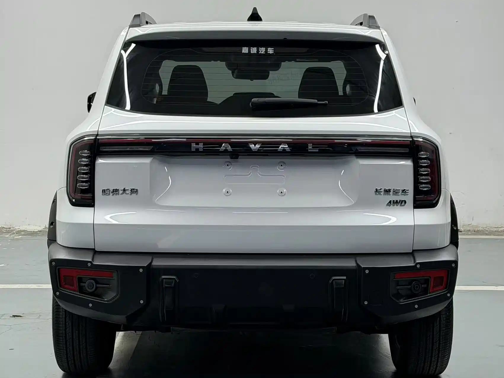 Фото 4 - Haval Dargo