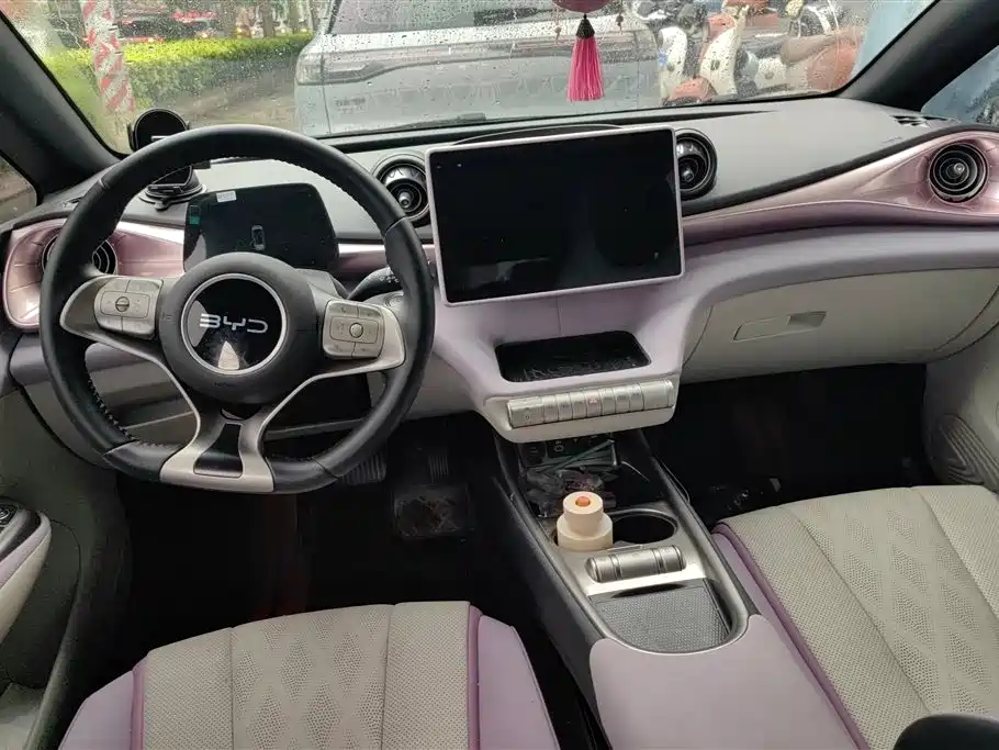BYD Dolphin 2024 Glory Edition 420km Freedom Edition фото 12