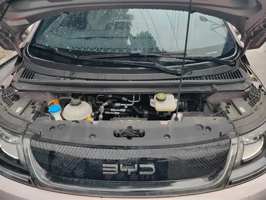 BYD Dolphin 2024 Glory Edition 420km Freedom Edition фото 10