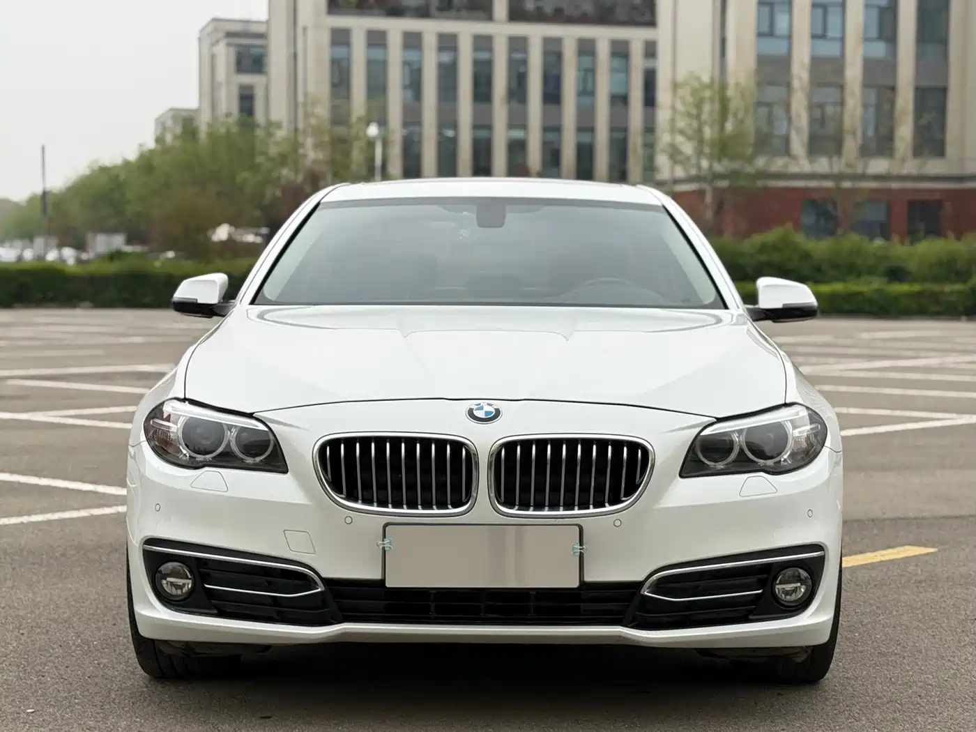 BMW 5 Series 2014 525Li Luxury Design Package фото 2