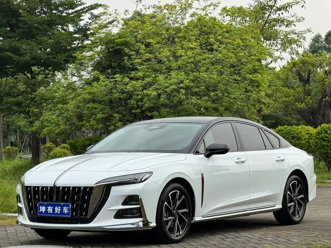 Hongqi H6 2025 2025 Model 2.0T Beauty Edition