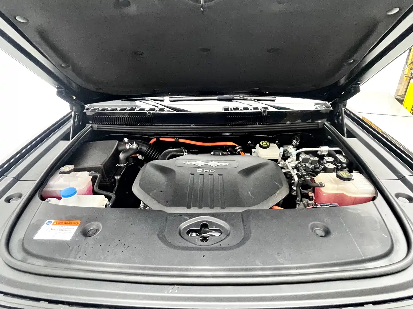 FANG CHENG BAO LEOPARD 5