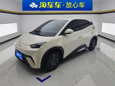 BYD Seagull