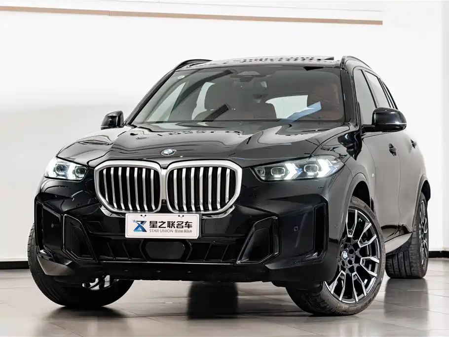 BMW X5 2023 xDrive 40Li M Sport Black Night Package фото 2