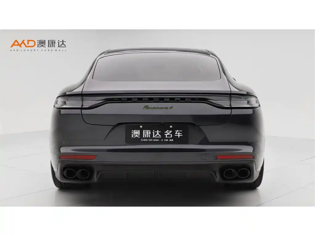 Panamera New Energy