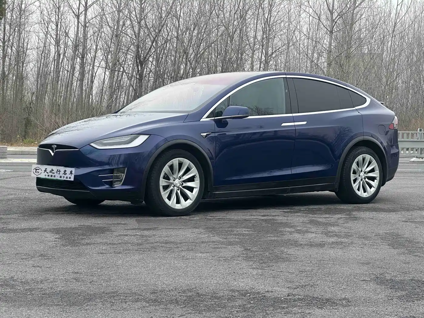 TESLA MODEL X