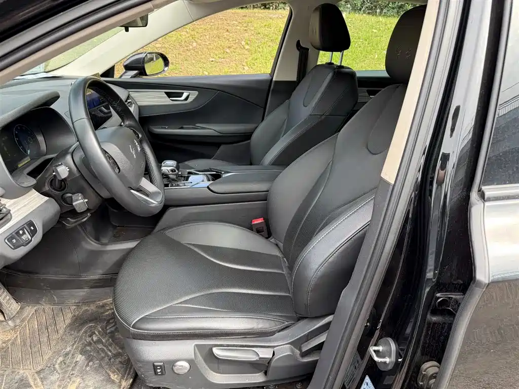 Hongqi E-QM5 2023 620km PLUS фото 8
