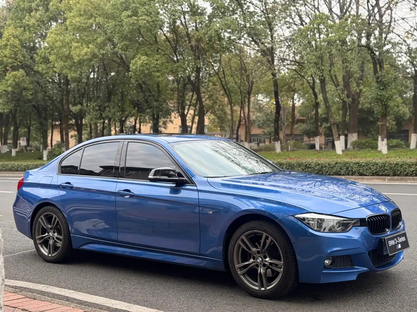 BMW 3 Series 2019 320Li M Sport Black Night Edition фото 3