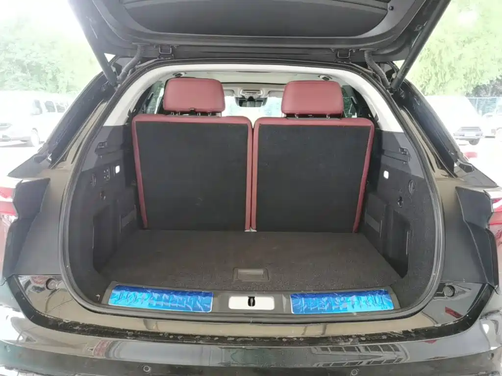 Hongqi E-HS9 2023 2021 460km Flagship Comfort 6-seater