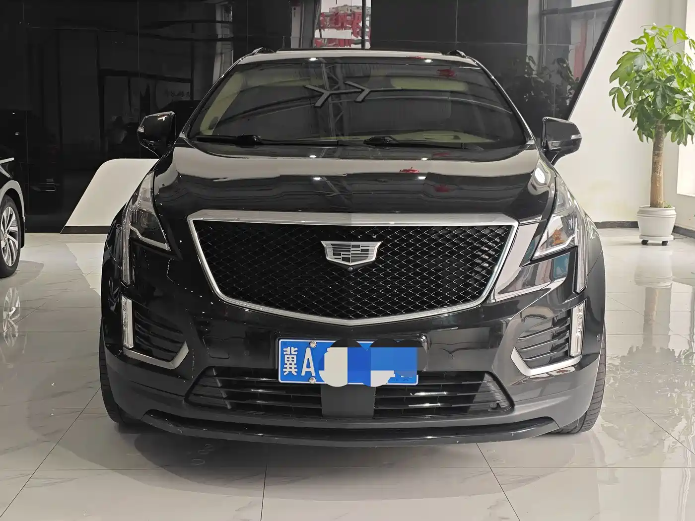 Фото 2 - Cadillac XT5