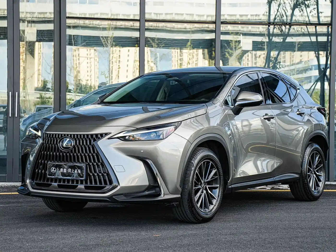 LEXUS NX