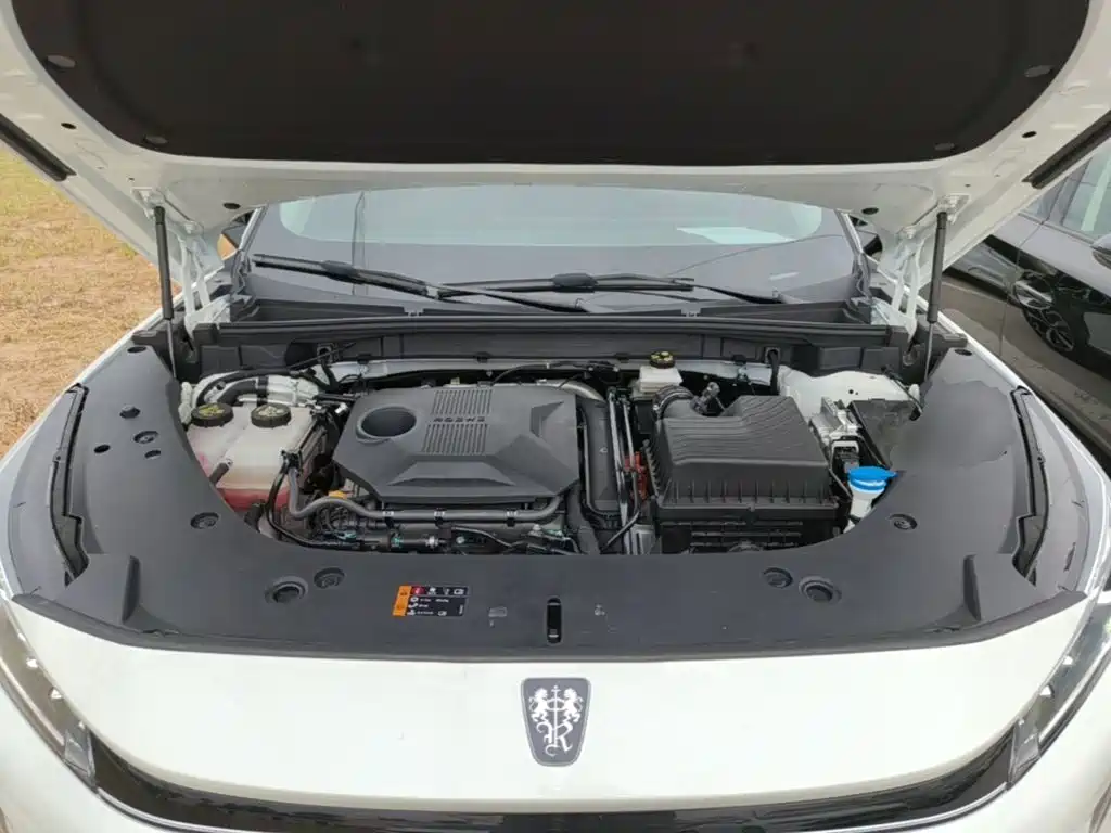 Roewe D5X DMH 2024 2024 135 Flagship Edition