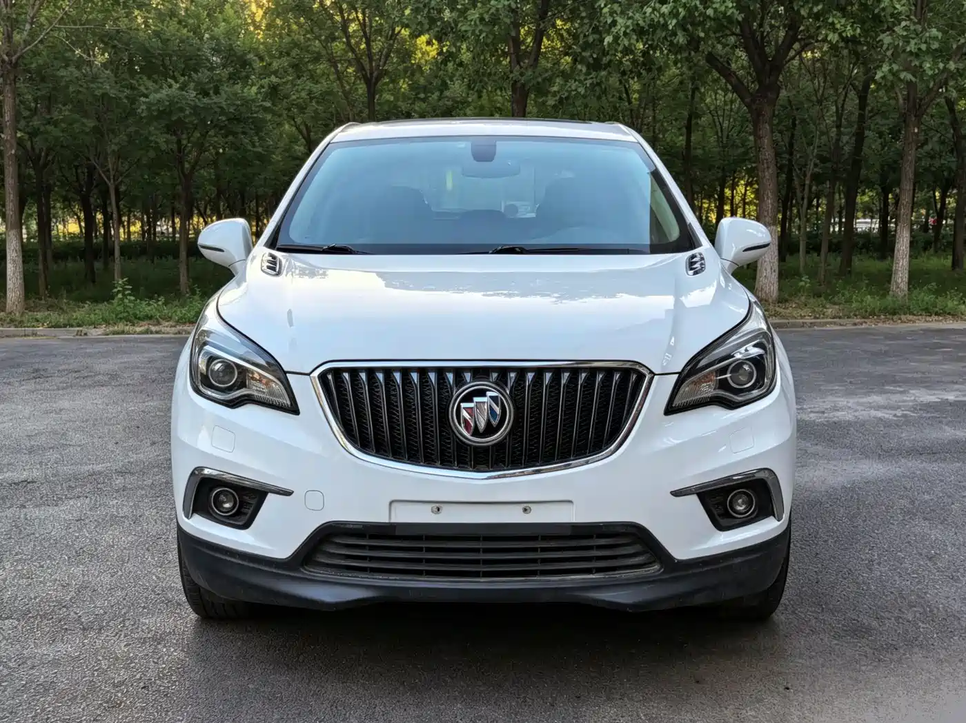 Buick Envision Plus 2014 28T 4WD Elite фото 2