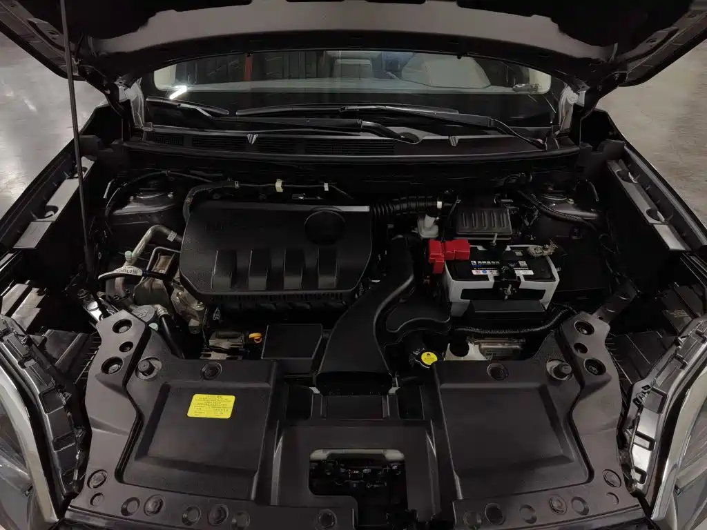 Venucia T60 2023 2022 1.6L CVT Intelligent Drive Edition