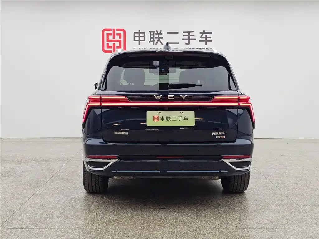 WEI PAI WEI BRAND BLUE MOUNTAIN