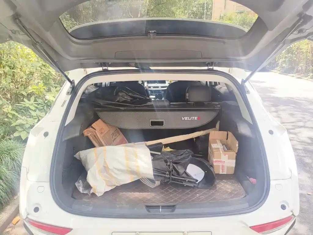 Фото 5 - Buick Velite 6