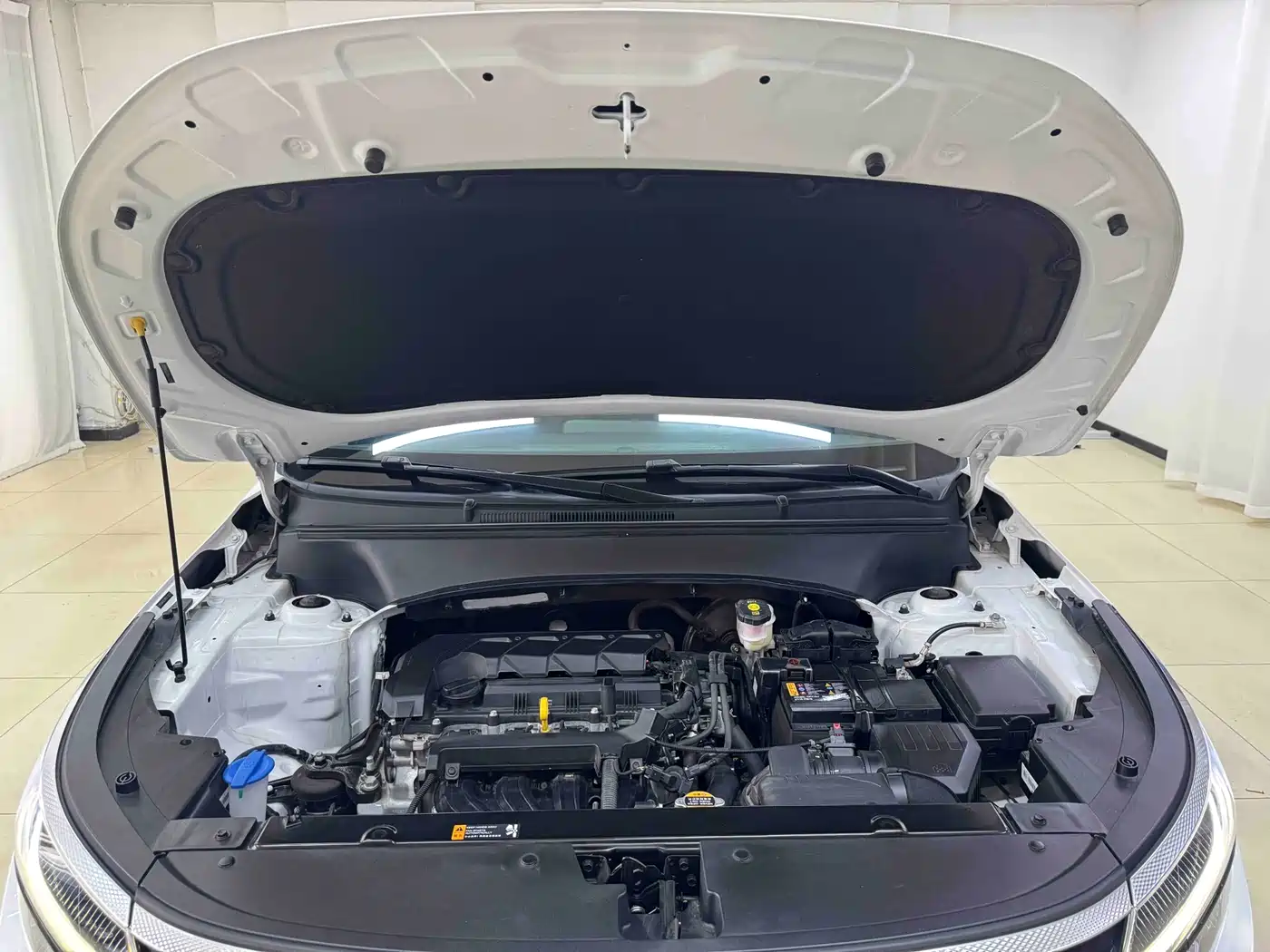 Kia Seltos 2023 1.5L CVT Luxury Edition фото 19