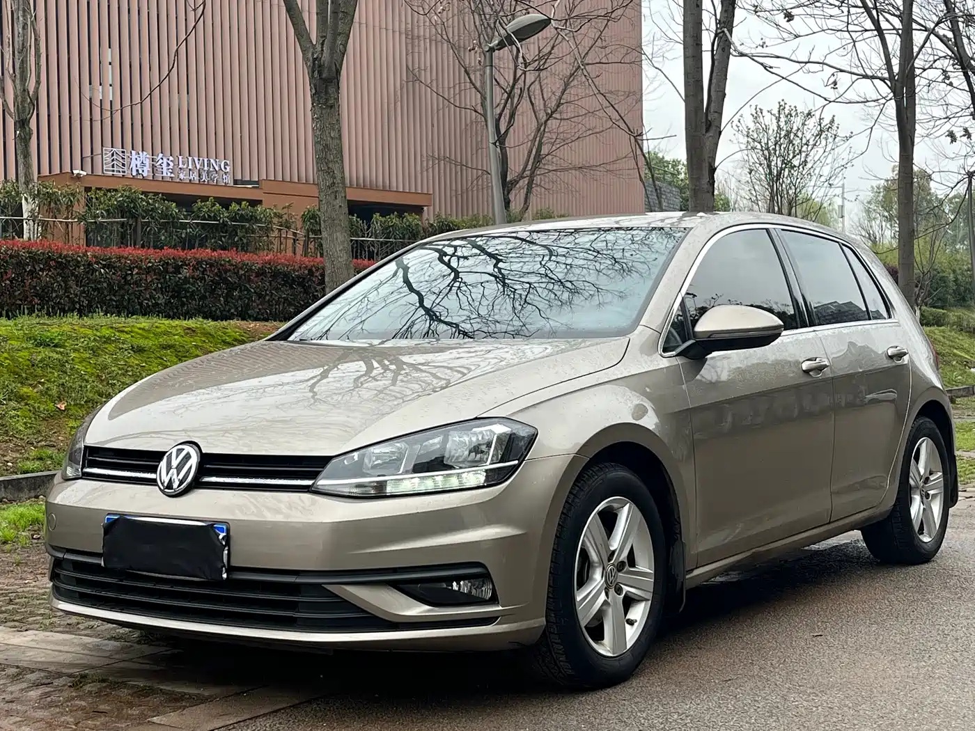 Volkswagen Golf 2018 1.6L Automatic Fashion