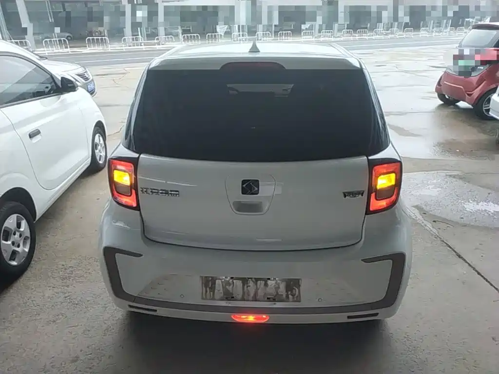 Sehol Flower Fairy 2023 2023 251km Four-leaf Clover 36kW