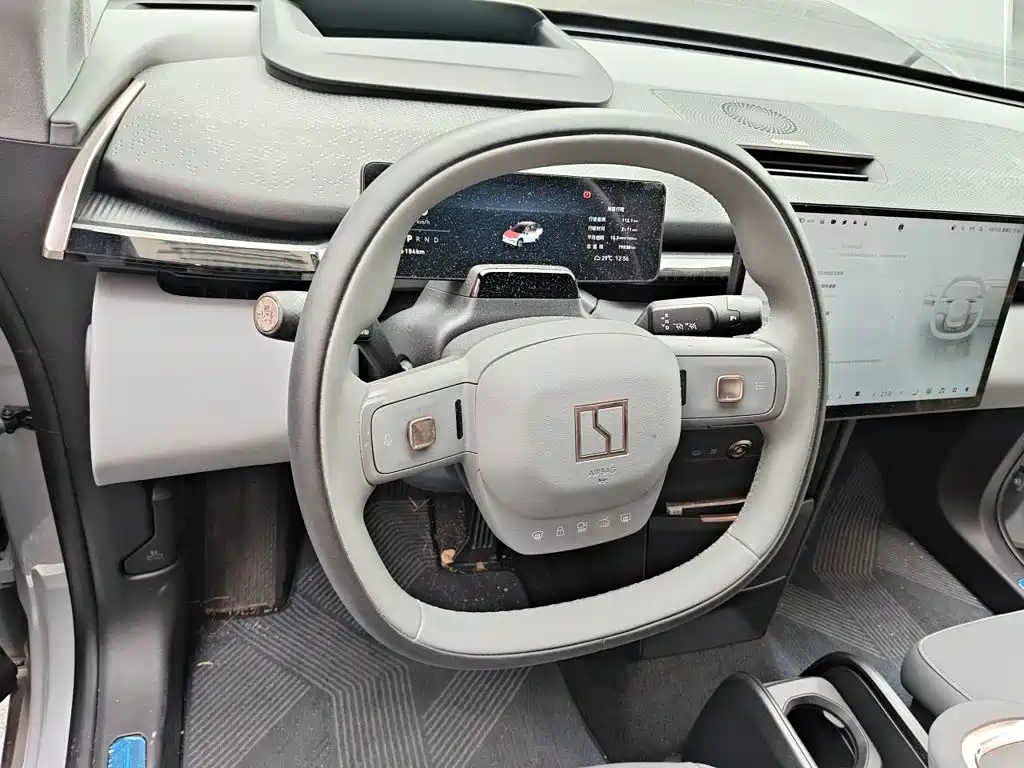 ZEEKR X 2024 2023 RWD YOU Edition 4-seater