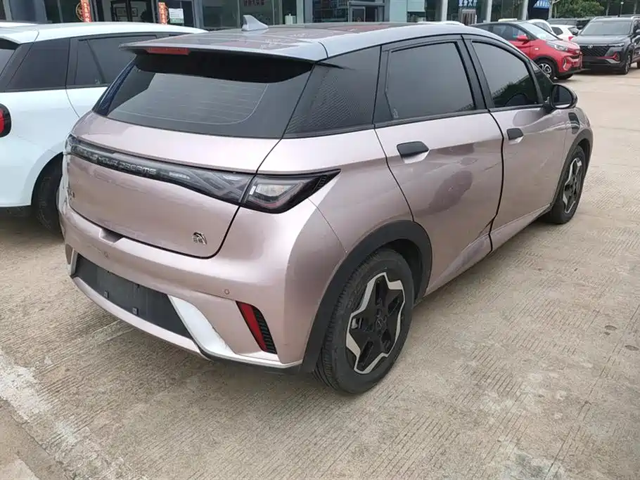 BYD Dolphin 2021 Model 405km Fashion Edition фото 3