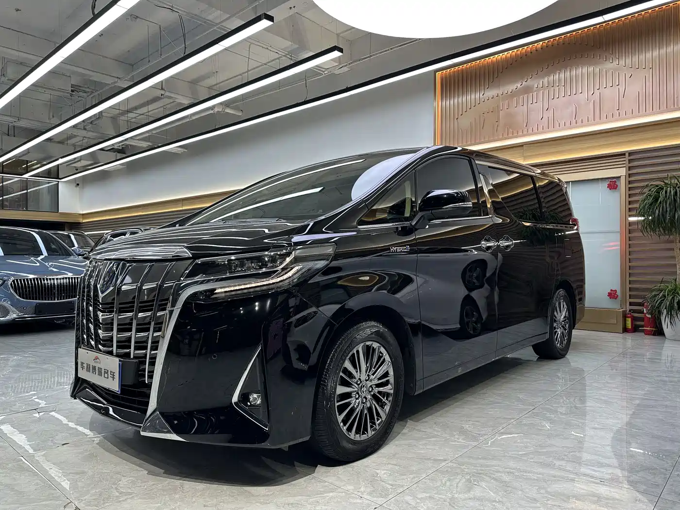 TOYOTA ELFA 2023
