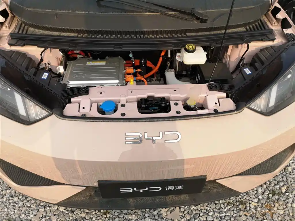 BYD Seagull 2025 Smart Drive Edition 305km Vitality Version фото 20