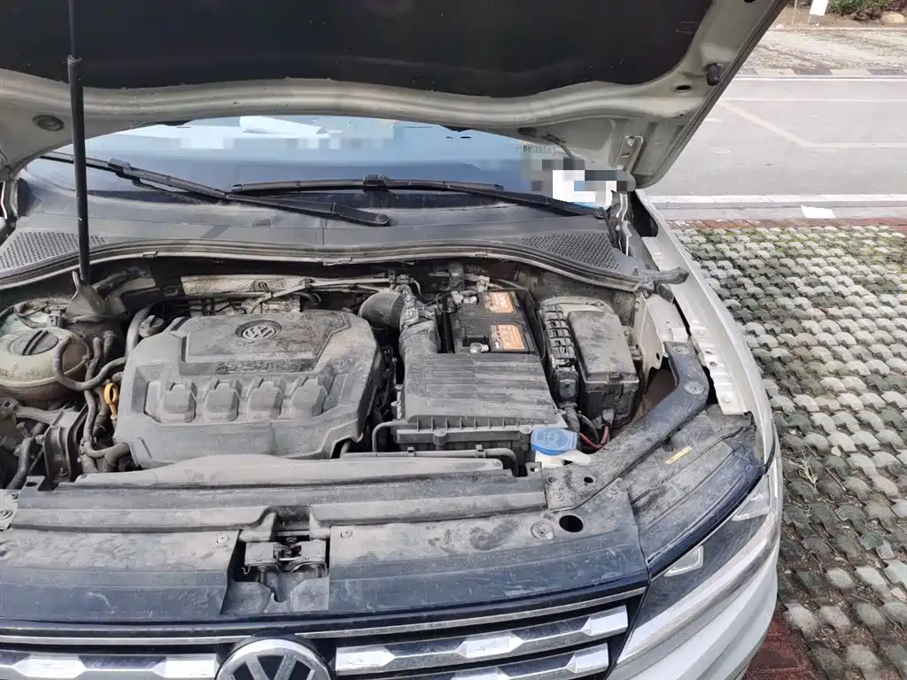 Volkswagen Tiguan L 2019 Facelift 330TSI Auto 2WD Panorama Comfort China VI фото 21