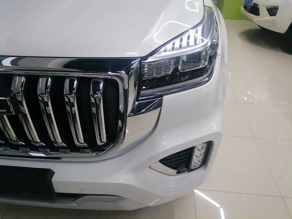 Haval H9 2022 2.0T Gasoline 4WD Smart Enjoyment 5-seater фото 24