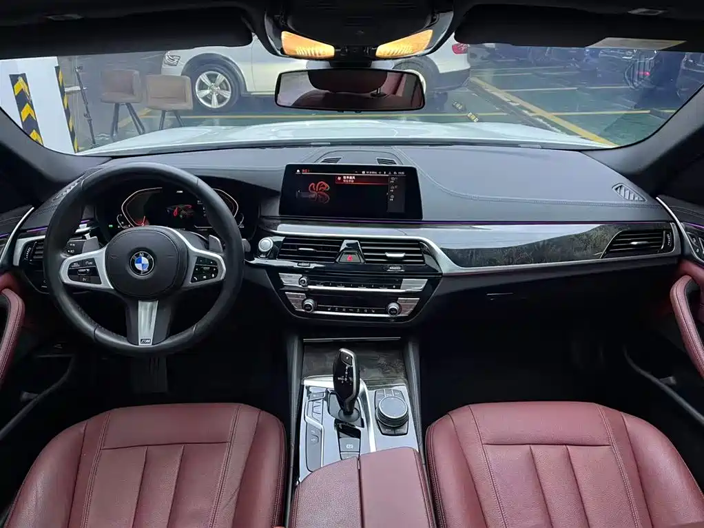 BMW 5 Series 2020 530Li Leading M Sport Package фото 13