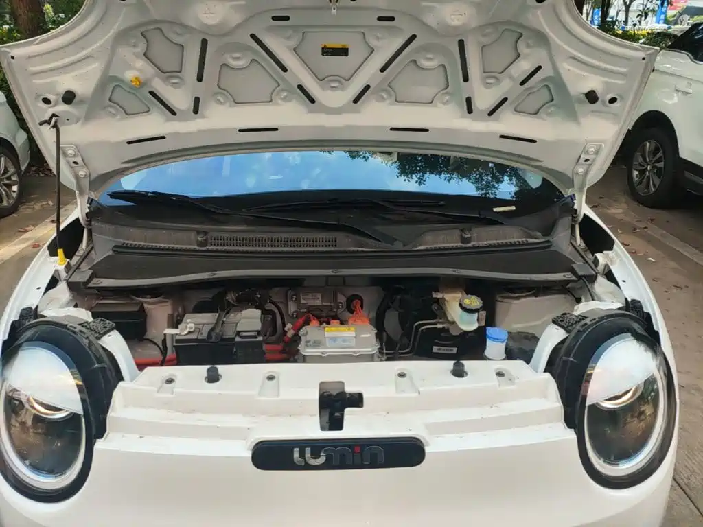 Changan Lumin 2026 2026 Model 205km Treasure Edition