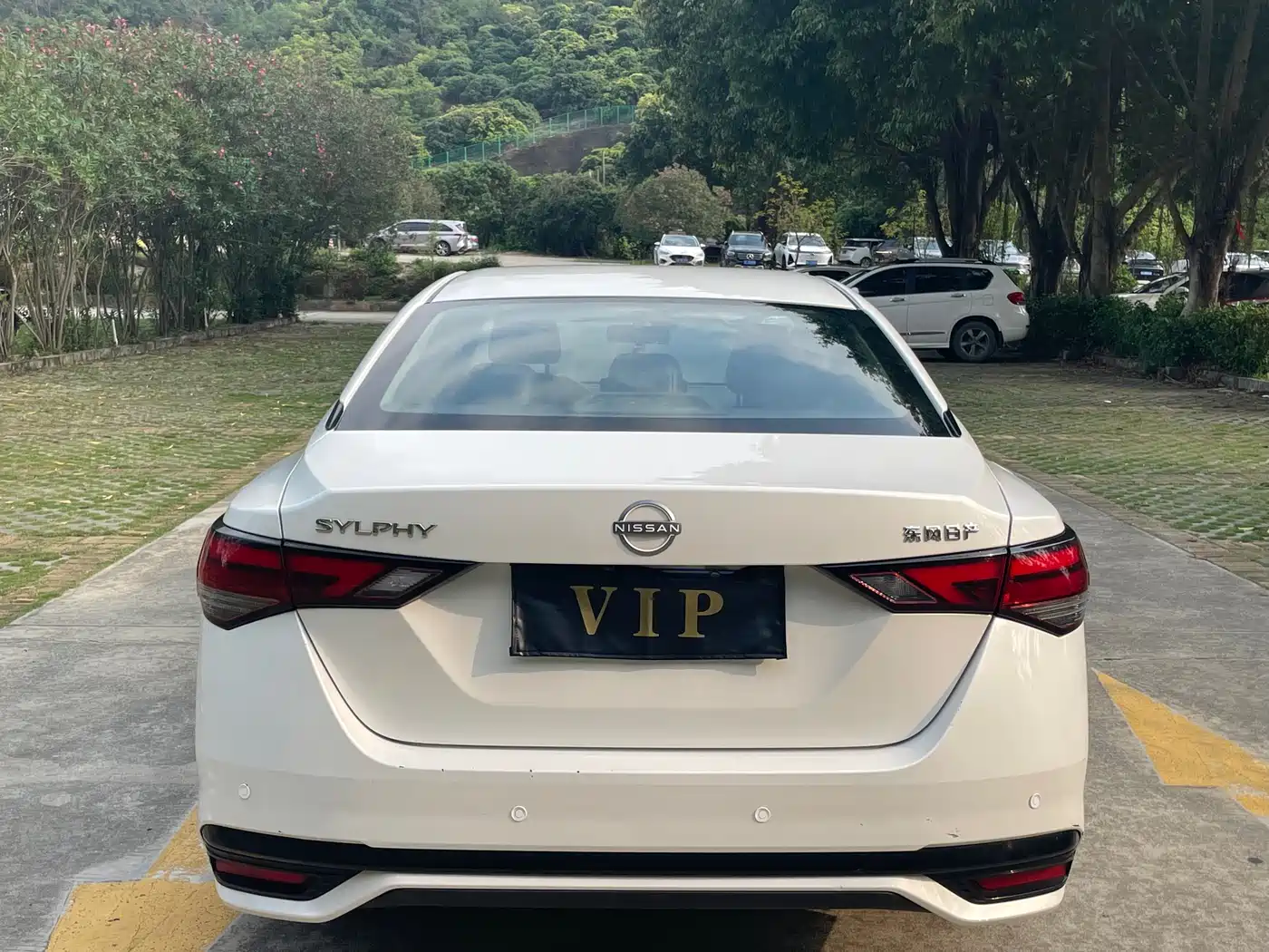 صورة 15 - Nissan Sylphy