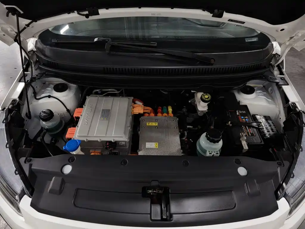 Dayun Yuehu 2022 2021 32.85kWh 2WD Elf Edition