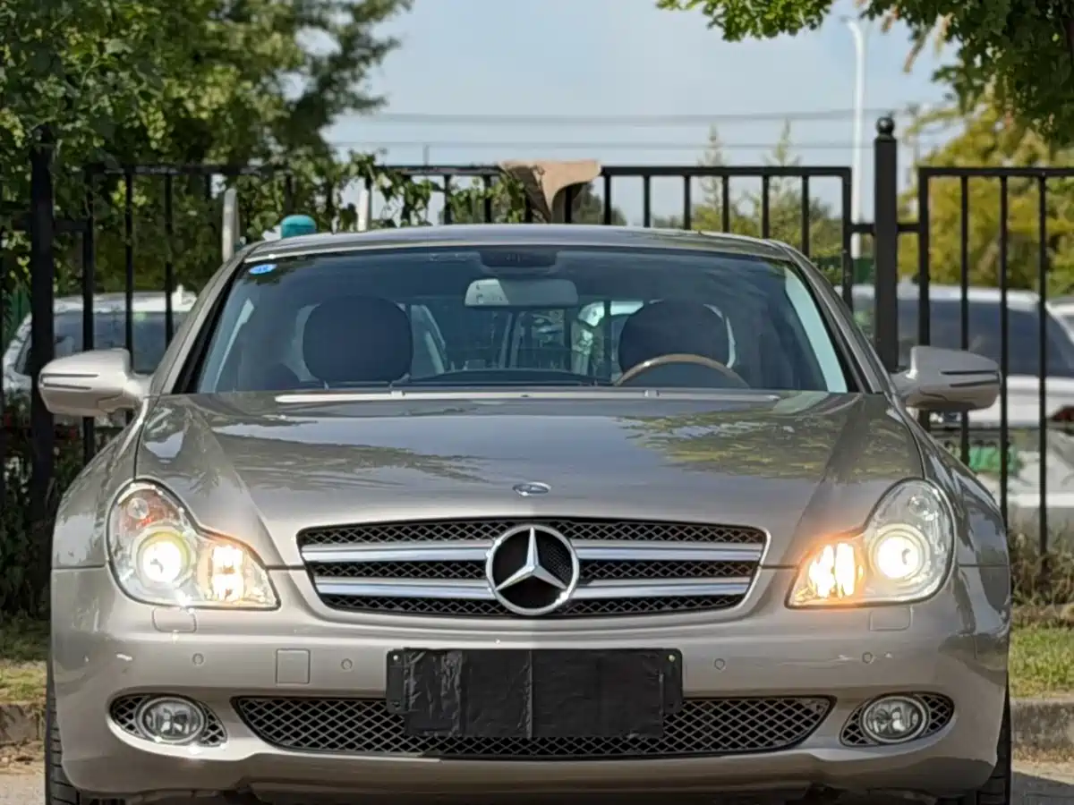 Mercedes-Benz CLS 2010 2009 CLS 300