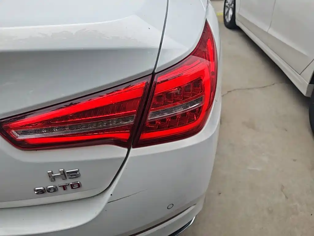 Photo 8 - Hongqi H5