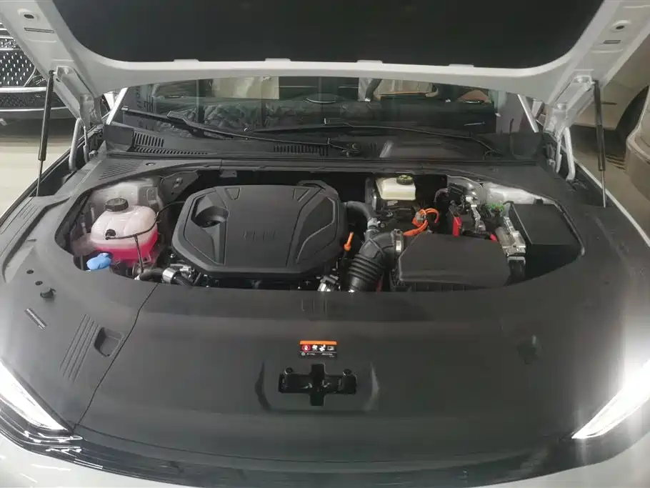 Geely Galaxy Galaxy Xingyao 8 2025 Model 60km EM-i Luxury Edition фото 10