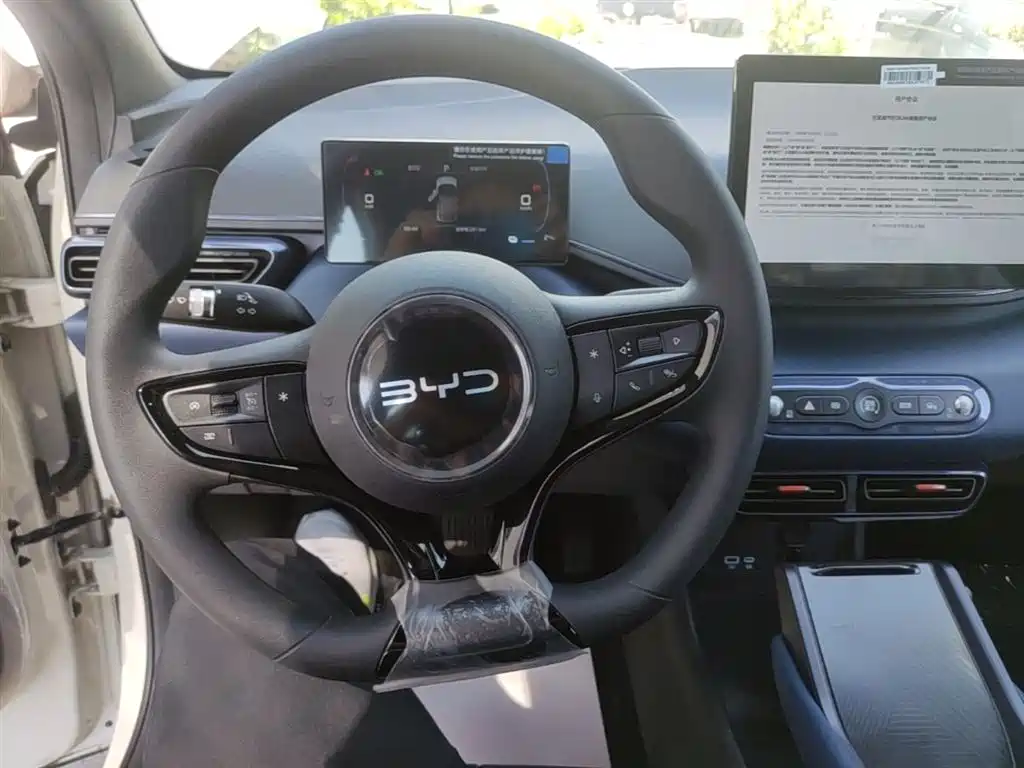 BYD Seagull 2025 Smart Drive Edition 305km Vitality Version фото 11