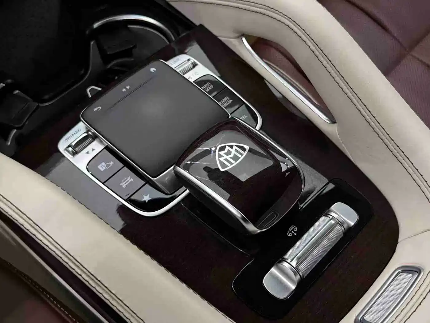 Mercedes-Benz Maybach GLS 2021 GLS 600 4MATIC Ritual Edition фото 8