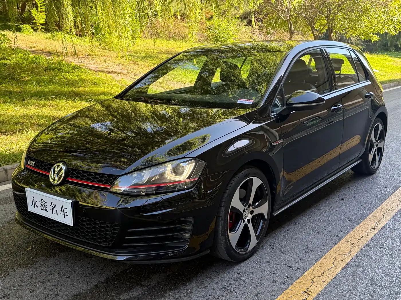Volkswagen Golf GTI 2016 2016 2.0TSI GTI