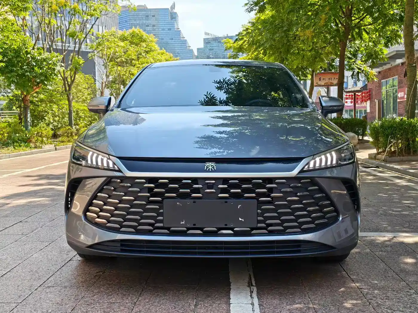 BYD Qin PLUS DM-i Smart Drive 55KM Leading