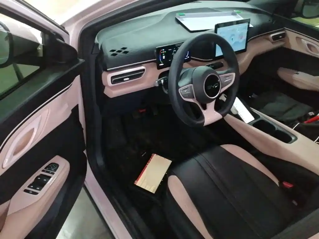 BYD Seagull 2025 Smart Drive Edition 305km Vitality Version фото 16