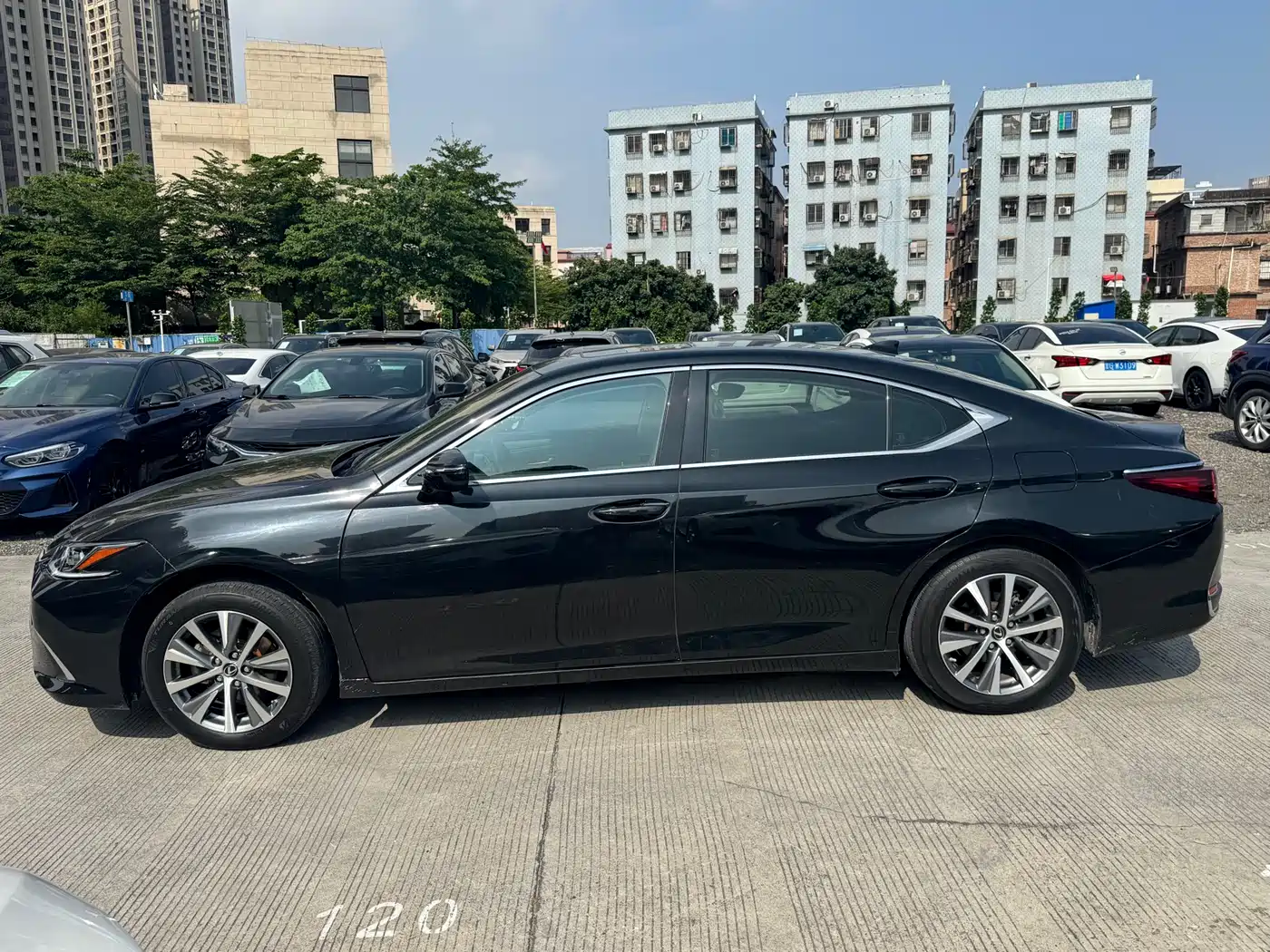 Lexus ES 2021 200 Luxury Edition фото 9